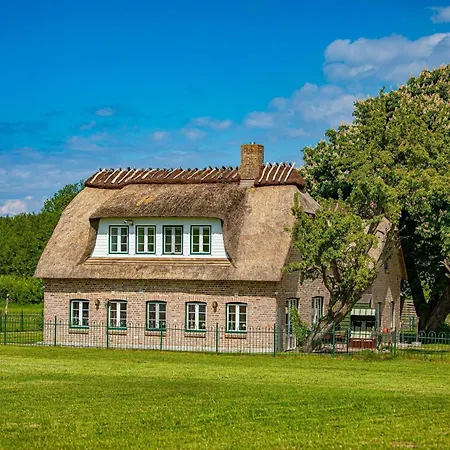 Landhausvilla Wolsroi * Steinbergkirche
